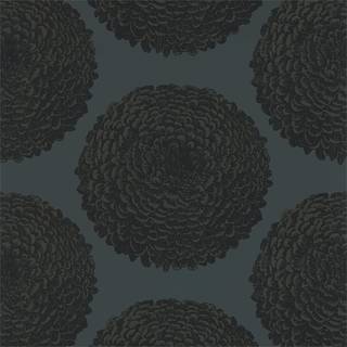 Elixity - 112177
