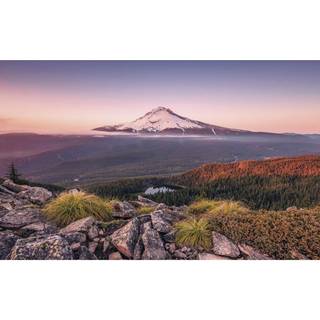 Kingdom of a Mountain