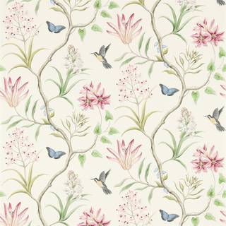 Clementine Chintz - 213388