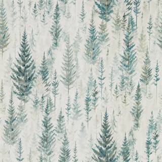 Juniper Pine Forest - 216622
