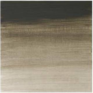 WINSOR Artists oil colour 200ml davy's grey 217