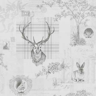 Albany Wallpaper Richmond 98013