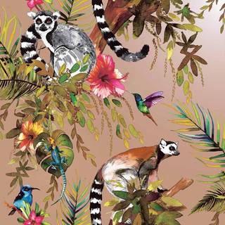 Albany Wallpaper Lemur 12404
