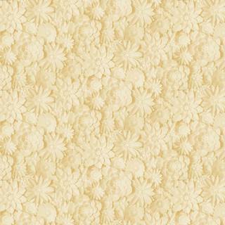 Albany Wallpaper Dimensions Floral FD42597