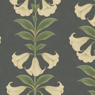 Cole & Son Wallpaper Angel's Trumpet 117/3006