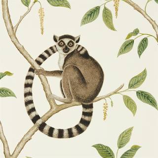 Ringtailed Lemur Cream/Olive - 216664