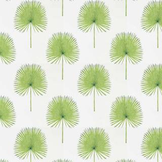 Sanderson Wallpaper Fan Palm 216636