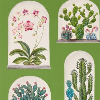 Sanderson Wallpaper Terrariums 216656