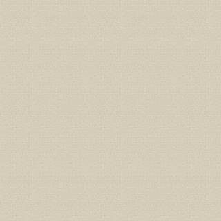 Albany Wallpaper Giorgio Texture 8104
