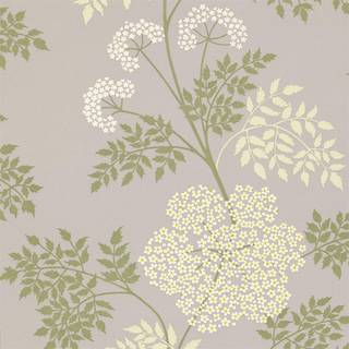 Cowparsley Amethyst - DOPWCO103