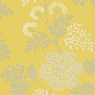 Cowparsley Chinese Yellow - DOPWCO105