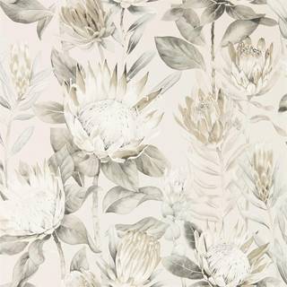 King Protea Linen/Mica - 216647
