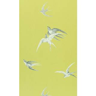 Swallows Lime - DVIWSW101