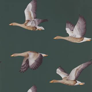 Elysian Geese Amsterdam Green - DYSI216608