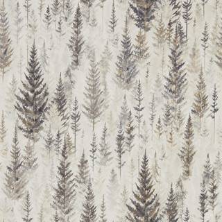 Juniper Pine Elder Bark - 216621