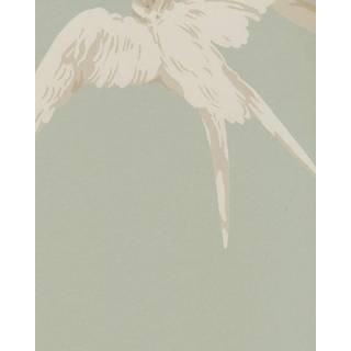 Swallows Pebble - DVIWSW102