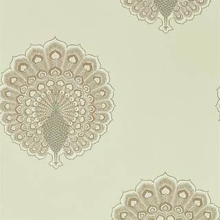 Kalapi Parchment - 216758