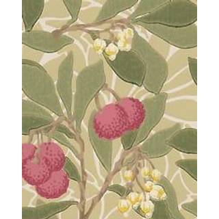 Arbutus Olive/Pink - DM3W214720