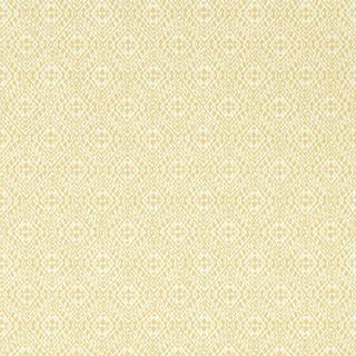 Pinjara Trellis Woad - 216907