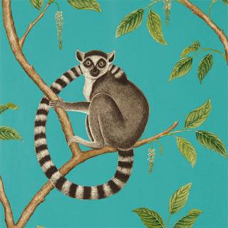 Ringtailed Lemur Teal - 216663
