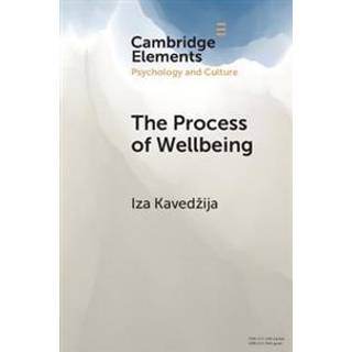 The Process of Wellbeing