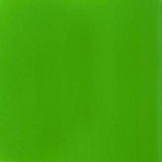 Basics Acrylfarbe 118ml - Grün Fluo