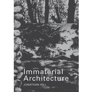 Immaterial Architecture