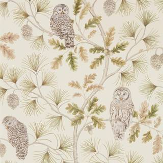 Owlswick Briarwood - 216597