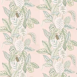 Calathea Orchid/Eucalyptus - 216632