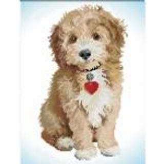 DIAMOND DOTZ Sød hanhund Diamond Art Kit - Delvis drill, Runde Dotz, 33 x 43 cm