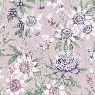 Passiflora Pink - 91322