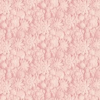 Albany Wallpaper Dimensions Floral FD42555