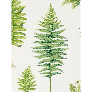 Fernery Botanical Green - 216633