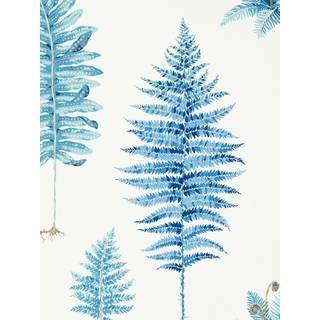 Fernery China Blue - 216635