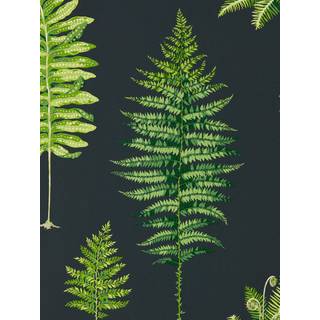Fernery Botanical Green/Charcoal - 216634