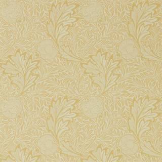 Apple Honey Gold - 216691