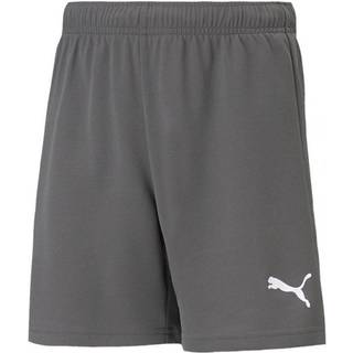 Puma Drenge TeamRISE Trænings Shorts Smoked Pearl / Puma Hvid