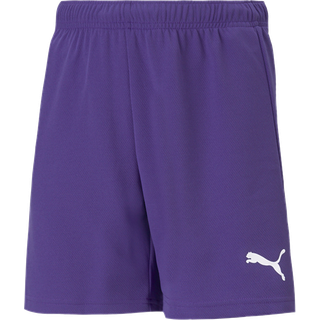 Puma Drenge teamRISE Sport træningsshorts lilla