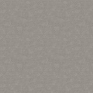 Shades Quartzite - 5054