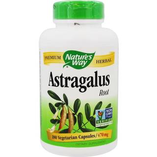 Nature's Way Astragalusrod