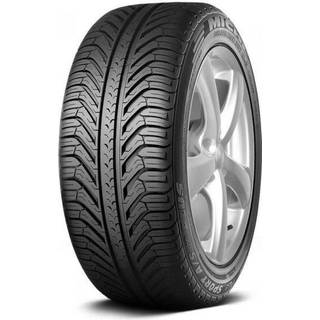 Michelin Pilot Sport A/S Plus ( 295/35 R20 105V XL N0 )