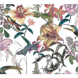 Albany Wallpaper Hummingbird 37701-1