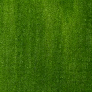 Sap Green Permanent Ink - 30ml