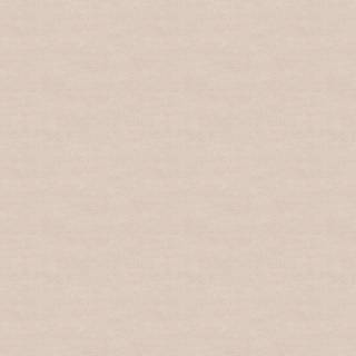 Shades Ruby - 5064