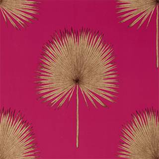 Fan Palm Rhodera/Gilver - 216638