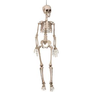 Halloween Skelet 90 cm.