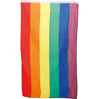 Pride flag 90 x 60 cm.