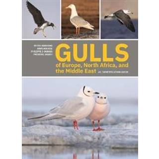 Gulls of Europe, North Africa, and the Middle East