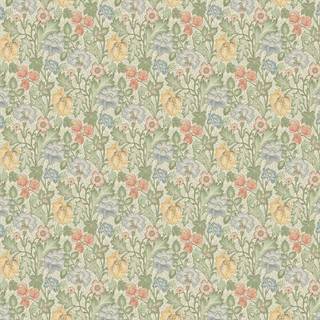 Jane - 2036