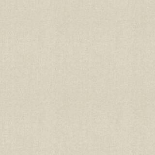 Albany Wallpaper Textured Glitter Plain M95603